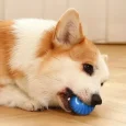 Dog-Toy-Ball-Automatic-Moving-Bouncing-Rolling-Ball-USB-Smart-puppy-Interactive-Dog-Chew-Toy-Ball-2.webp